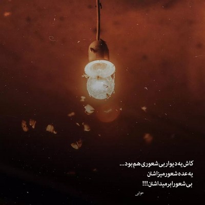 بیر بیدکی دنیالار بیزیم دی